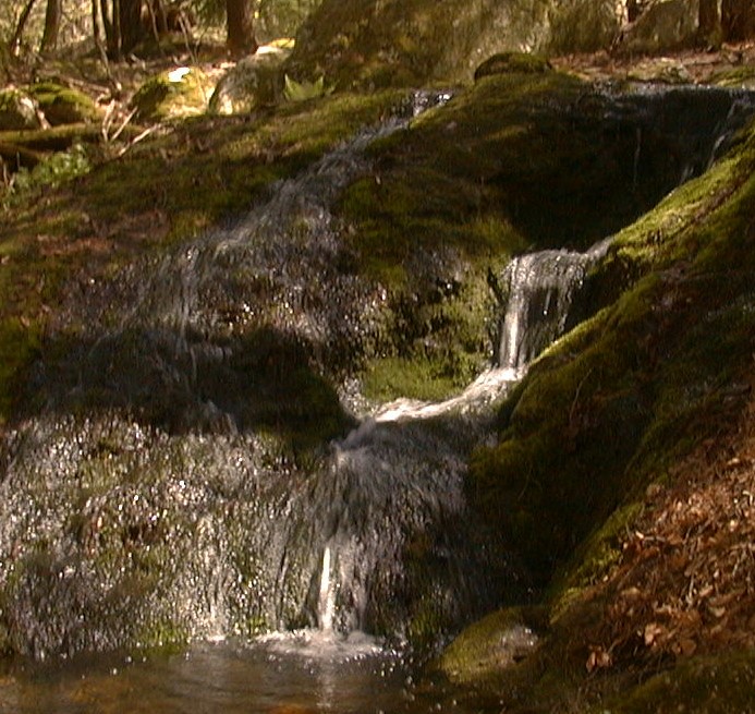 Waterfall and streams for outdoor therapeutic massage at Whispering Waters.